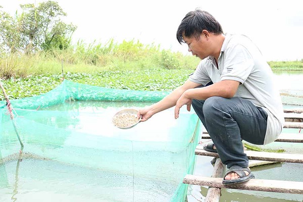 Sâu Canxi thức ăn mới cho cá  Aquaculture