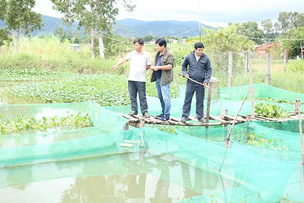 Sâu Canxi: thức ăn mới cho cá - Aquaculture