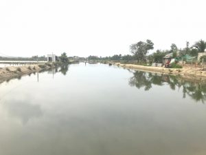 Nạn ô nhiễm vùng nước nuôi tại vùng nuôi tôm Đông Điền, xã Phước Thắng (huyện Tuy Phước, Bình Định) được hạn chế nhờ có hệ thống cấp nước riêng và hệ thống xả thải riêng (ảnh). Ảnh: Vũ Đình Thung.