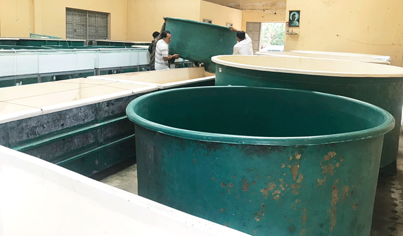 Hệ thống nuôi lươn không bùn theo công nghệ RAS tạiTrung tâm Khuyến nông và Dịch vụ nông nghiệp Tiền Giang. Ảnh: NNC
