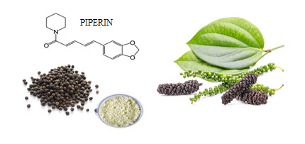 Piperine được chiết xuất từ tiêu đen (Piper nigrum) và tiêu lốt (Piper longum)