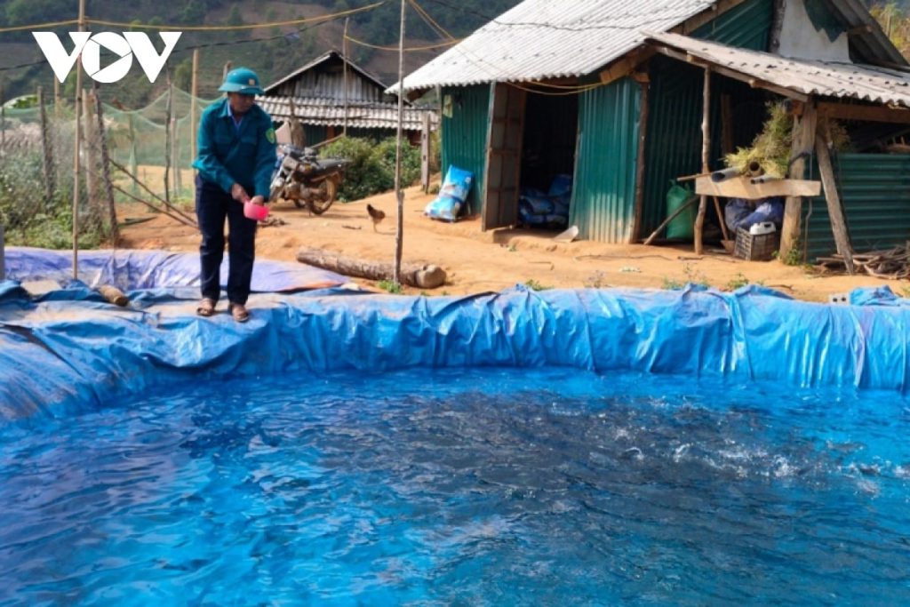Xã Sơn Bình hiện đã có 26 cơ sở, trên 300 bể nuôi cá nước lạnh.