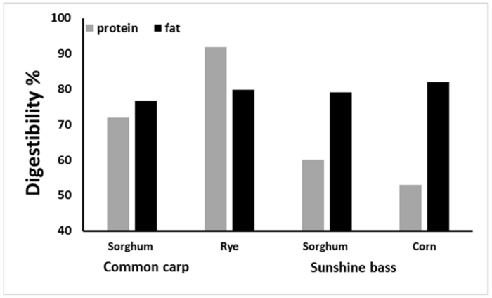 Khả năng tiêu hóa chất dinh dưỡng của cao lương với ngô và lúa mạch ở cá chép và cá vược