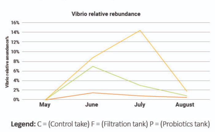 Hình 3: Sự phong phú tương đối của Vibrio so với tổng quần thể vi khuẩn giữa mỗi hệ thống bể