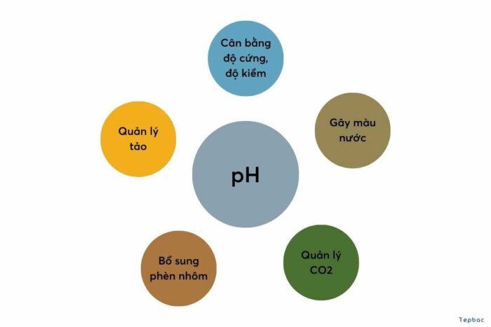 Độ pH là một trong những chỉ số phản ánh sức khỏe của con tôm. Ảnh: Tép Bạc