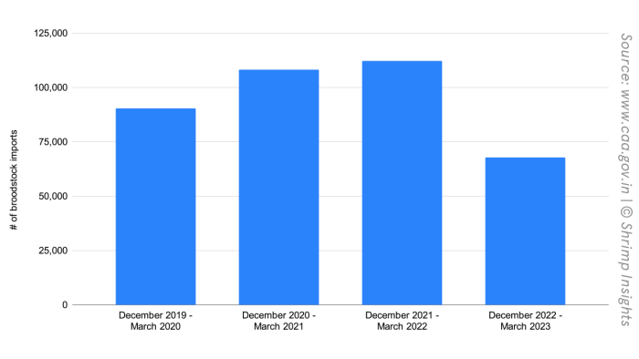Biểu đồ thể hiện nhập khẩu tôm tại Ấn Độ giai đoạn 2019-2023