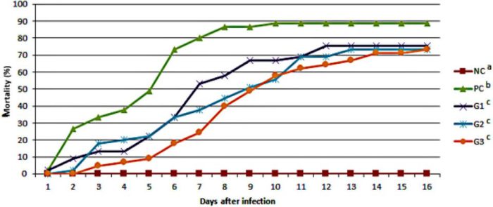 Hình 2. Tỷ lệ chết tích lũy được quan sát thấy ở các nhóm khác nhau sau cảm nhiễm với Streptococcus agalactiae