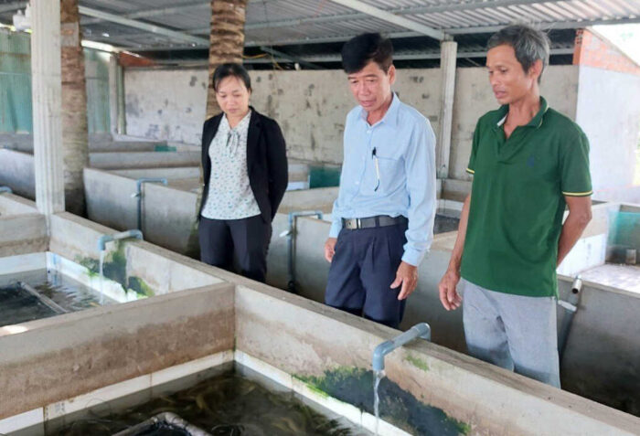 Chủ tịch Hội Nông dân Việt Nam huyện Tân Hưng (giữa) - Võ Ngọc Nhồi tham quan mô hình nuôi lươn không bùn của ông Trương Văn Thức (bìa phải)