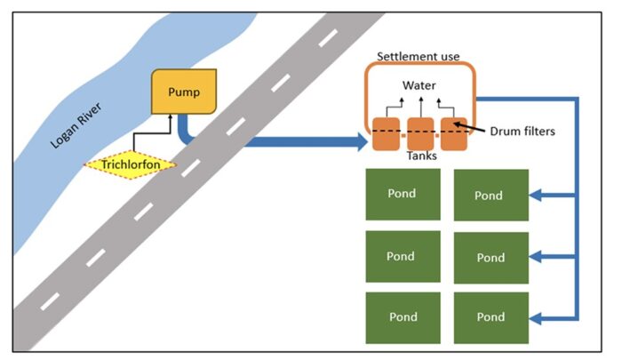 Hình 1: Sơ đồ xử lý nước được sử dụng để ngăn chặn WSSV xâm nhập vào trang trại.