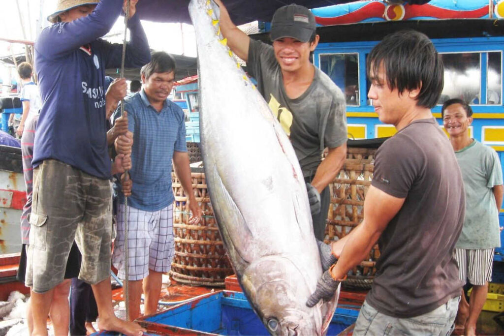 Doanh nghiệp cá ngừ của Việt Nam đẩy mạnh xuất khẩu cá ngừ sang thị trường Mexico. Ảnh: cafebiz.vn