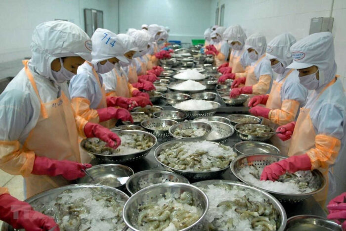 Mỹ, Trung Quốc, Nhật Bản là 3 khách hàng lớn nhất của con tôm Việt Nam
