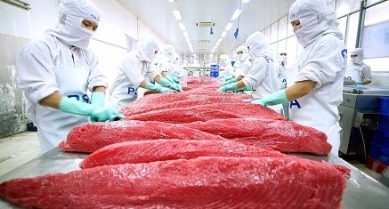 Xuất khẩu cá ngừ tăng ở một số thị trường chính