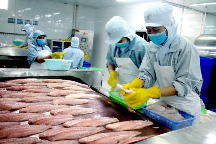 Xuất khẩu cá tra 6 tháng năm 2023 đạt 885 triệu USD, giảm 38% so với cùng kỳ