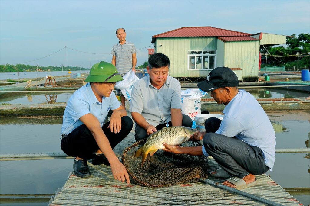 Với lợi thế ven sông, số lồng nuôi cá ở Hải Dương tăng nhanh và trở thành một trong những tỉnh có số lượng lồng nuôi lớn nhất khu vực. Đây cũng là một trong những hình thức nuôi thủy sản quan trọng của tỉnh, góp phần nâng cao thu nhập cho người nông dân.