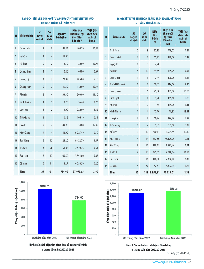 Bảng chi tiết về bệnh hoại tử gan tụy cấp tính và bệnh đốm trắng trên tôm nuôi trong 6 tháng đầu năm 2023