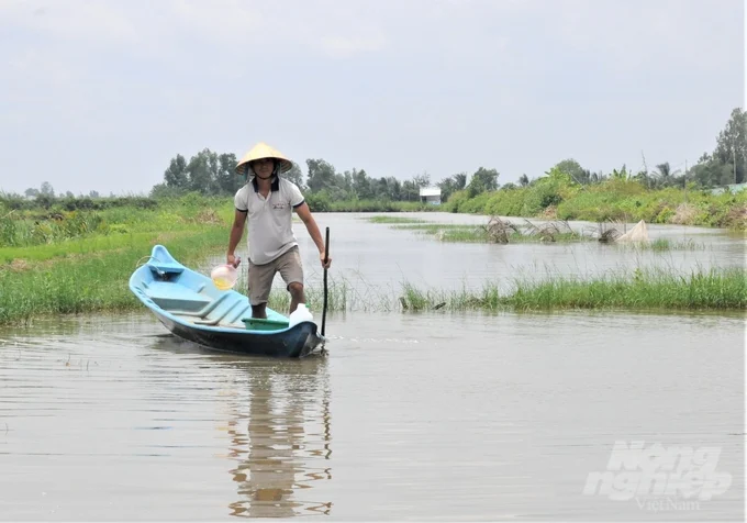 Nông dân huyện An Minh sử dụng sản phẩm sinh học Bồ Đề Mother Water xử lý môi trường nước nuôi tôm, giúp giảm chi phí đầu tư, tăng năng suất và chất lượng tôm nuôi. Ảnh: Trung Chánh