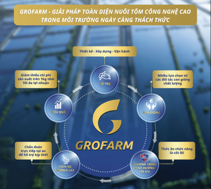 GROFARM - Một giải pháp toàn diện nuôi tôm công nghệ cao trong môi trường ngày càng thách thức của công ty GROBEST