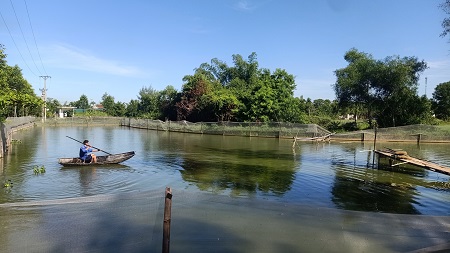 Mô hình nuôi cá chạch sụn thương phẩm của gia đình anh Nguyễn Hữu Trung