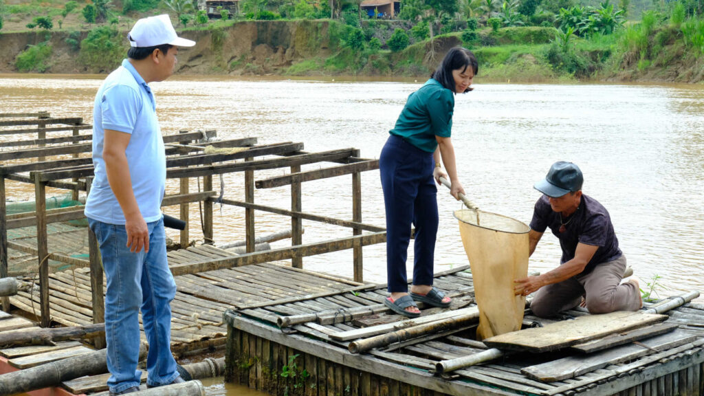 Mô hình nuôi cá chạch lấu trong lồng bè với dòng nước chảy trên sông Đồng Nai của gia đình ông Ngô Văn Hải có những ưu thế riêng