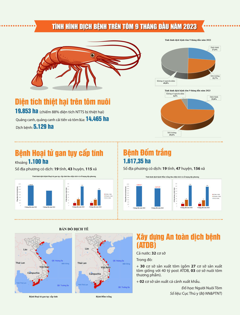 Tình hình dịch bệnh trên tôm 9 tháng đầu năm 2023